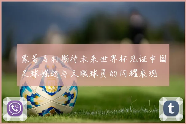 蒙哥马利期待未来世界杯见证中国足球崛起与天赋球员的闪耀表现